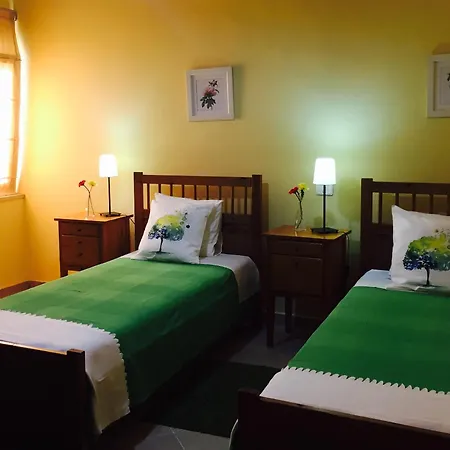 Stephen Center 3* Tiran